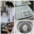 Glitter Heat Transfer Drukowanie 