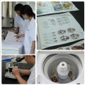 Druk termotransferowy Hot Fix Sequens 